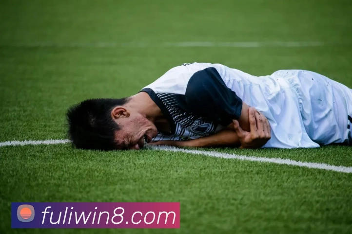 富丽新城官网品牌故事